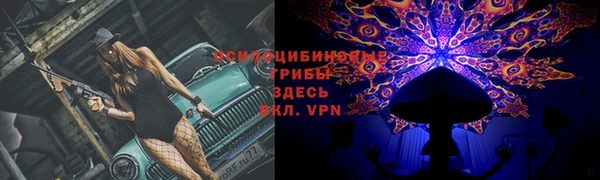 гидропоника Вяземский