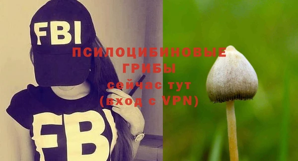 гидропоника Вяземский